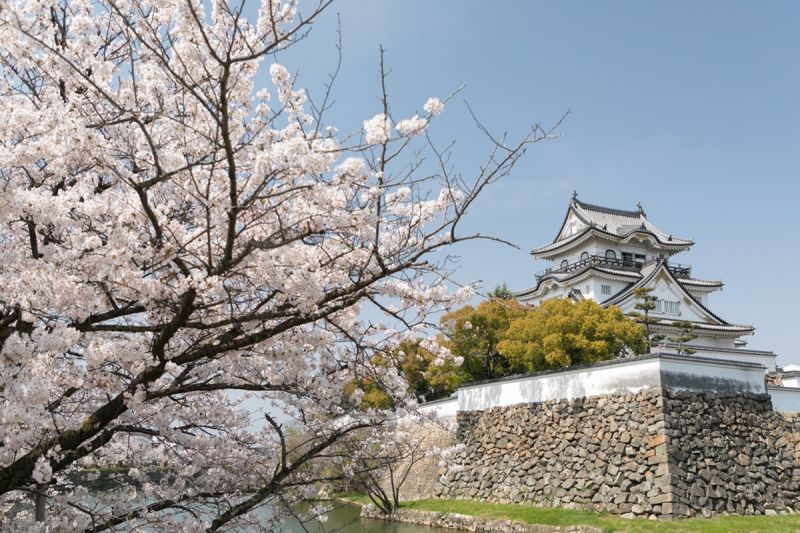 lâu đài kishiwada lâu đài kishiwada
